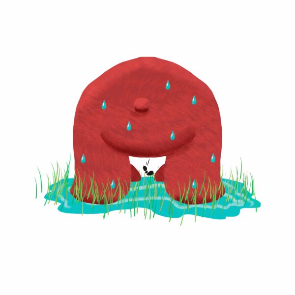 The rump of a bear drips with water as it leans over to set down the ant. A puddle forms beneath them.
